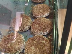 -万红路羊汤烧饼店(将台路店)