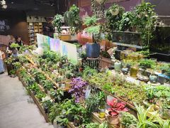 -扶光书店(中环店)