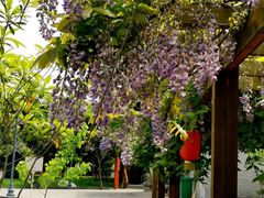 -长安上水缘度假庄园