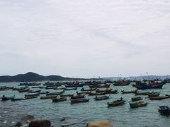 -海源公园