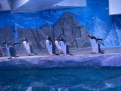 -暹罗海洋世界