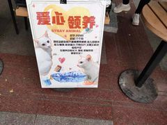 -COSTA COFFEE(上海虹口公园店)