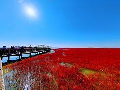 -红海滩国家风景廊道