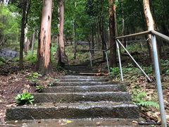 -滴水岩森林公园