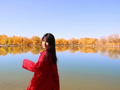 -金塔沙漠胡杨林景区