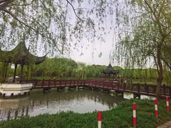 -广富林郊野公园