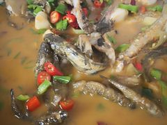 小杂鱼-峡谷农家乐饭店