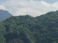 -石台牯牛降景区