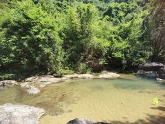 -广州白江湖森林公园