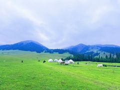 -新疆那拉提国家旅游度假区