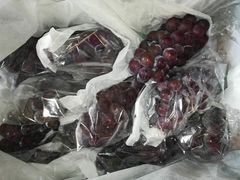 -PAGODA百果园(外贸路店)