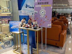 -南航明珠v2头等舱公务舱休息室