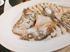 -同庆楼(天鹅酒家店)