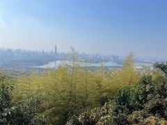 -紫金山山顶公园