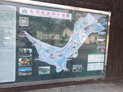 -龙寺生态园