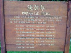 -广州神农草堂中医药博物馆