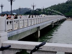 -野狸岛