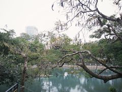 -溪岸路花鸟市场