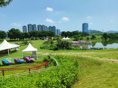 -光明小镇欢乐田园