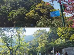 -梧桐山风景名胜区