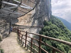 -鹿院坪生态旅游景区