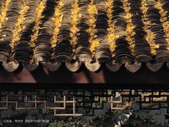 -红梅公园