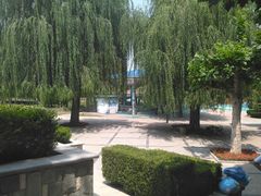 -富斯特索道