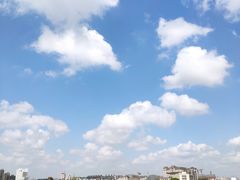 -上海山野camping·户外天幕烧烤·团建拓展营地