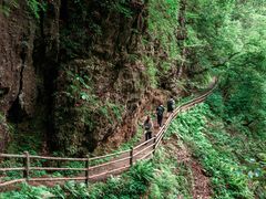 -光雾山旅游景区
