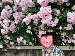 -丹东路渡口(轮渡站)