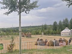 -鄂尔多斯野生动物园