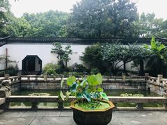 -上海醉白池公园