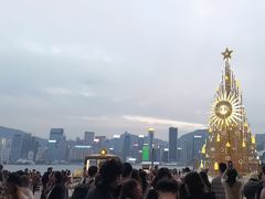 -星光大道