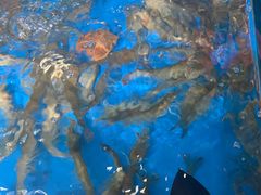 -顶之鲜海鲜餐厅