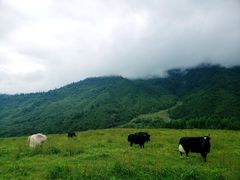 景点-硗碛藏寨·神木垒景区