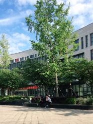 -苏州大学附属儿童医院(园区总院)