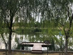 -上海长兴岛郊野公园