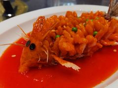 -丁老爷子苏香圆