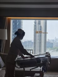 -巍阁高端月子会所