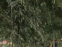 -嘉里饭庄