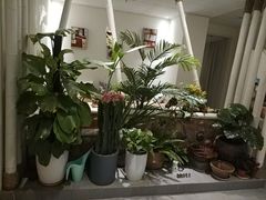 -北里·4k影院式足疗SPA馆(观音桥店)