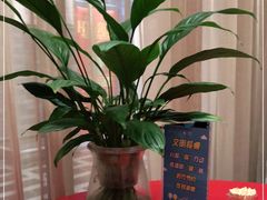 -小蓝鲸湖北菜(八一路店)