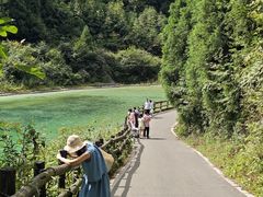 -武陵山森林公园