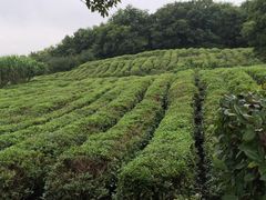 -南京市江宁方山