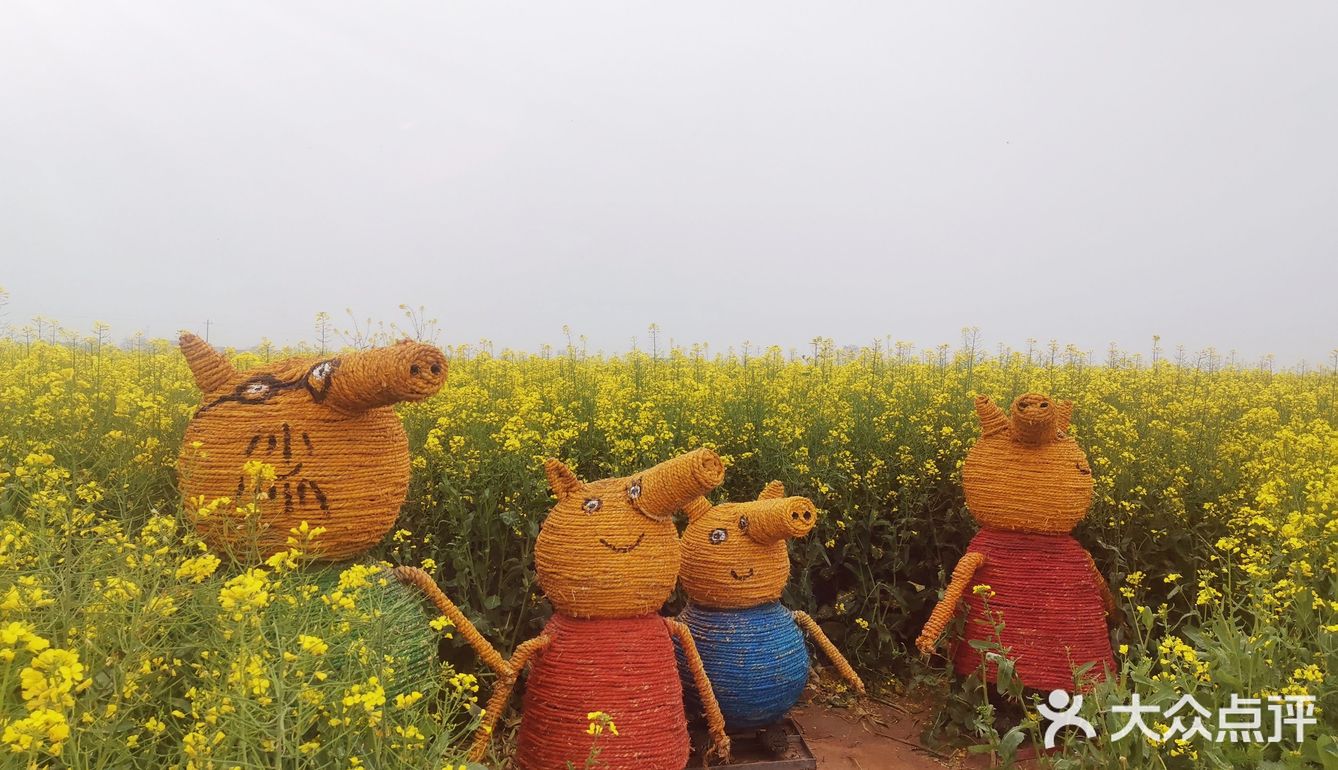 西安周边，看油菜花