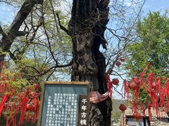 -水峪民俗村