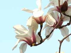 -桃源居(蠡园店)