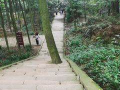 -青城山