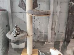-瑞光创意工厂