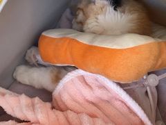 -美联众合动物医院·24h京西诊疗中心